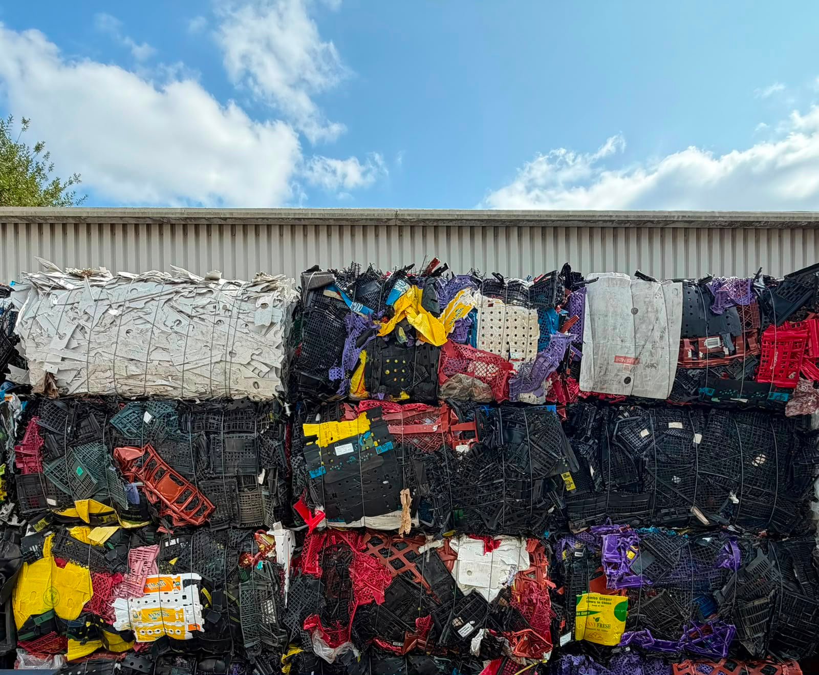 Plastic recycling collection for commercial businesses